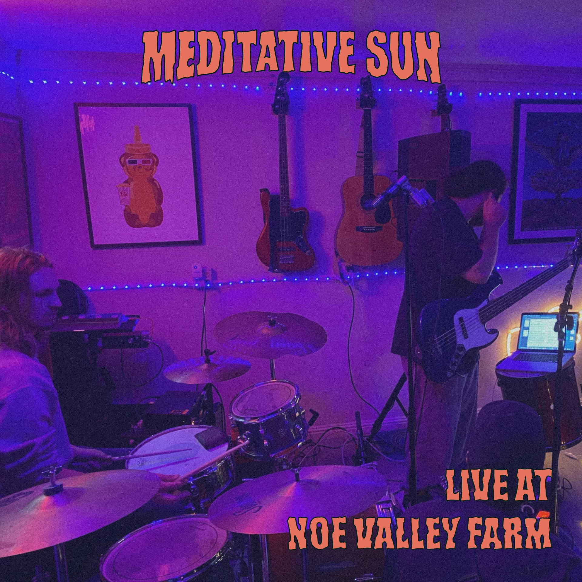 Meditative Sun 'Live at Noe Valley Farm' cover in purple stage light
